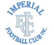 Load image into Gallery viewer, Imperial Football Club IMPSFC0043a   Heavy Weight Hoody with embroidered Round logo NAVY from