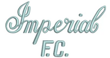 Load image into Gallery viewer, Imperial Football Club IMPSFC0029  Navy Beanie 5 styles With Logo On Front NAVY