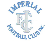 Load image into Gallery viewer, Imperial Football Club IMPSFC0029  Navy Beanie 5 styles With Logo On Front NAVY