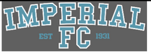 Load image into Gallery viewer, Imperial Football Club  Style 1  IMPERIAL FC CURVED IMPSFC0044B   Tshirt with Printed logo NAVY or SKY Priced from