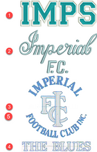 Load image into Gallery viewer, Imperial Football Club IMPSFC0043   Heavy Weight Hoody with logo NAVY